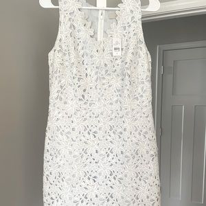 Loft lace dress